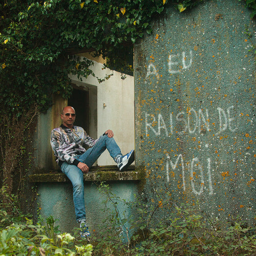 Veste bomber, motif LES PLUMES D'ANGE, d'après une toile d'Antoine Gerber, vue 2