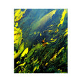 LE POISSON JAUNE, peinture originale d'Antoine Gerber